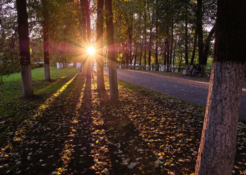 Фото сделанное пользователем Adissina