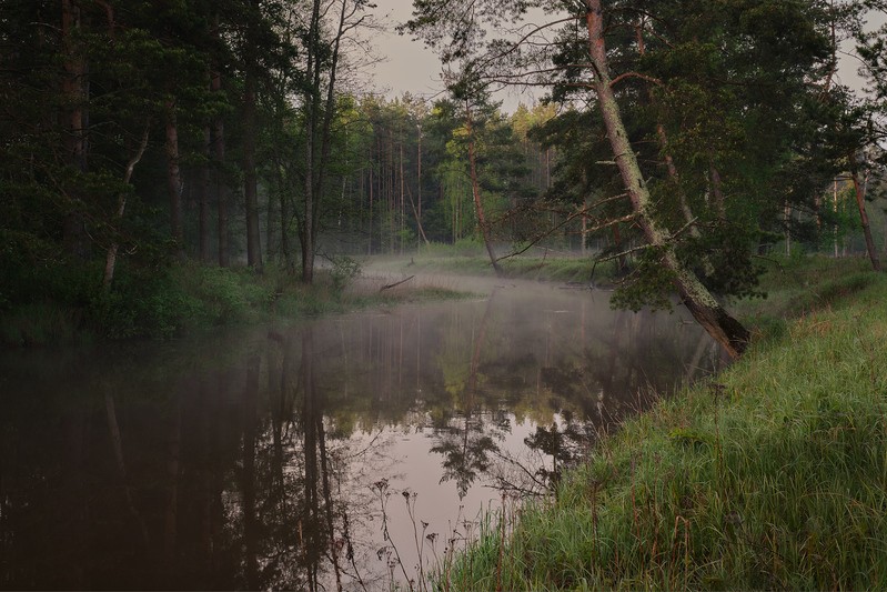 Фото сделанное пользователем GregB