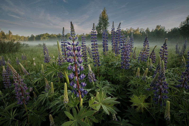 Фото сделанное пользователем GregB