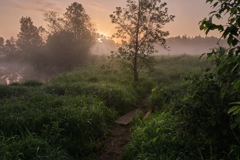 Фото сделанное пользователем GregB