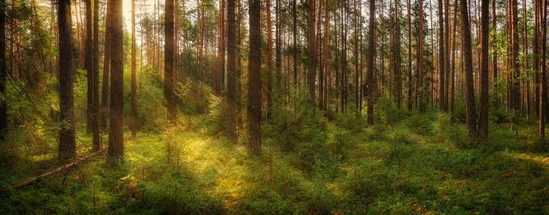 Фото сделанное пользователем Александр Быстров