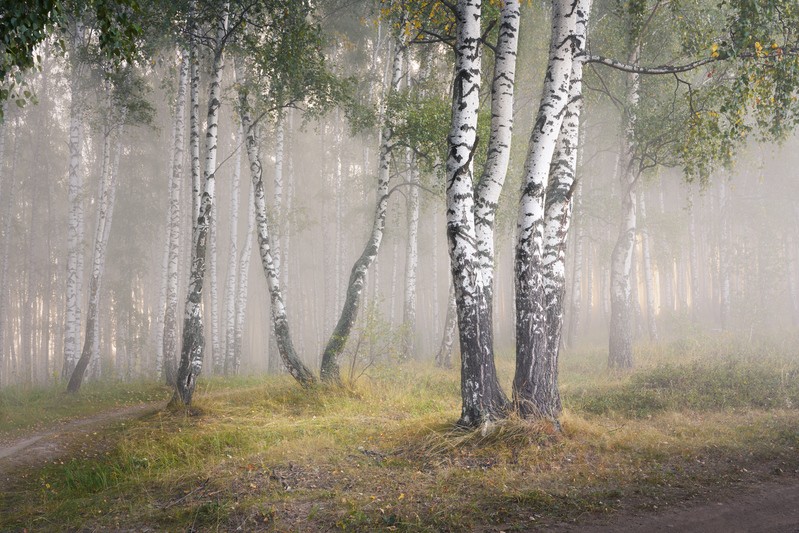 Фото сделанное пользователем GregB