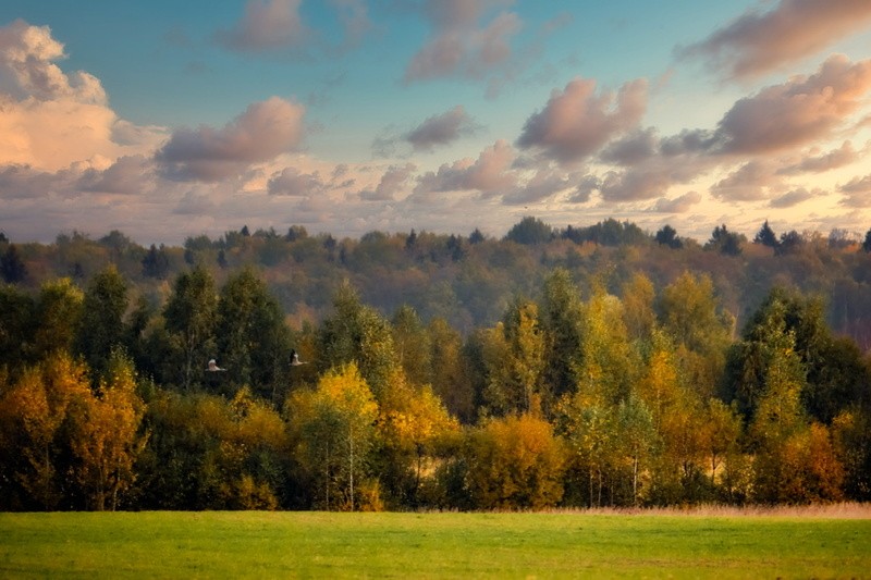 Фото сделанное пользователем Andrey_photo_lab