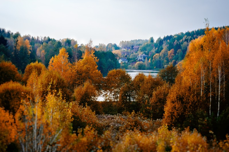 Фото сделанное пользователем W_goman