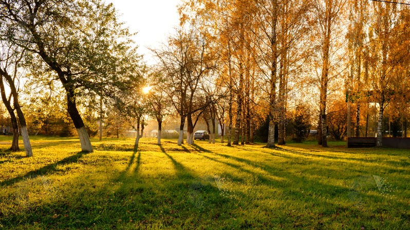 Фото сделанное пользователем Egoroff