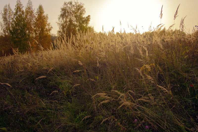 Фото сделанное пользователем koom