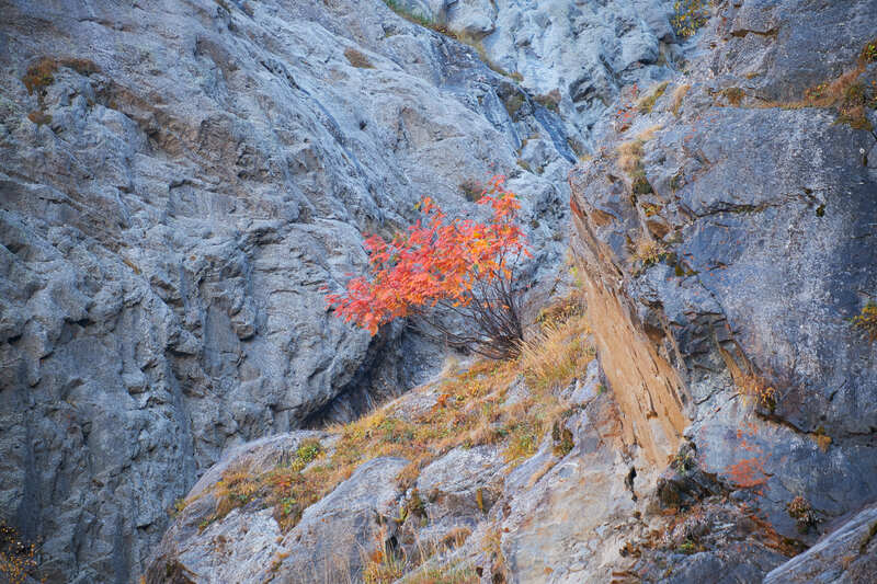 Фото сделанное пользователем Sibirach