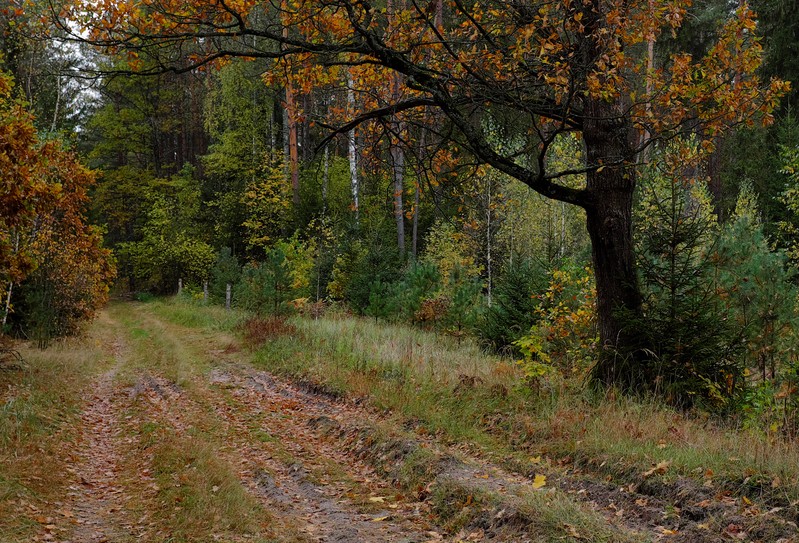 Фото сделанное пользователем Гарин