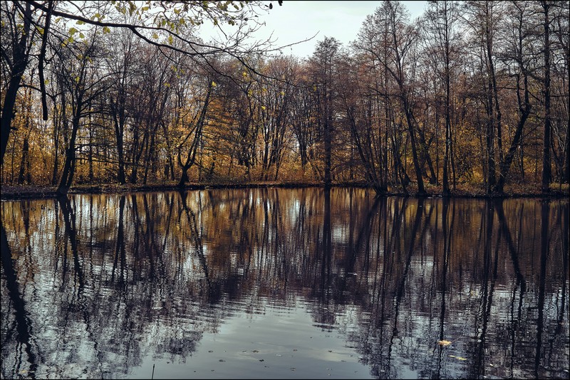 Фото сделанное пользователем Aurelíano Buendía