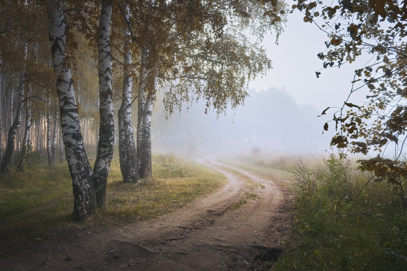 Фото сделанное пользователем GregB