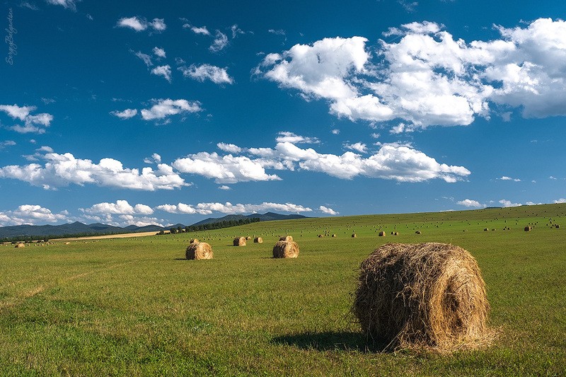 Фото сделанное пользователем belyavtsevs