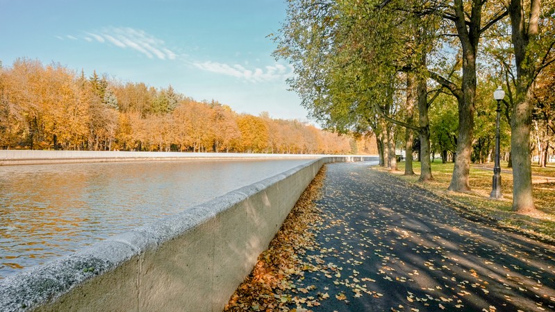 Фото сделанное пользователем W_goman