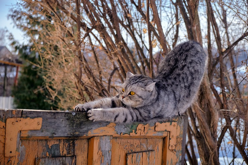 Фото сделанное пользователем Rotkiv