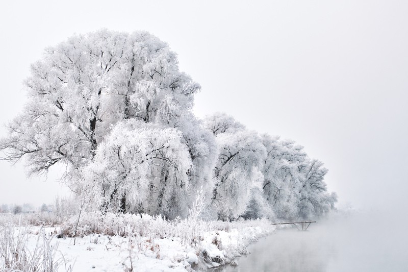 Фото сделанное пользователем KLeo