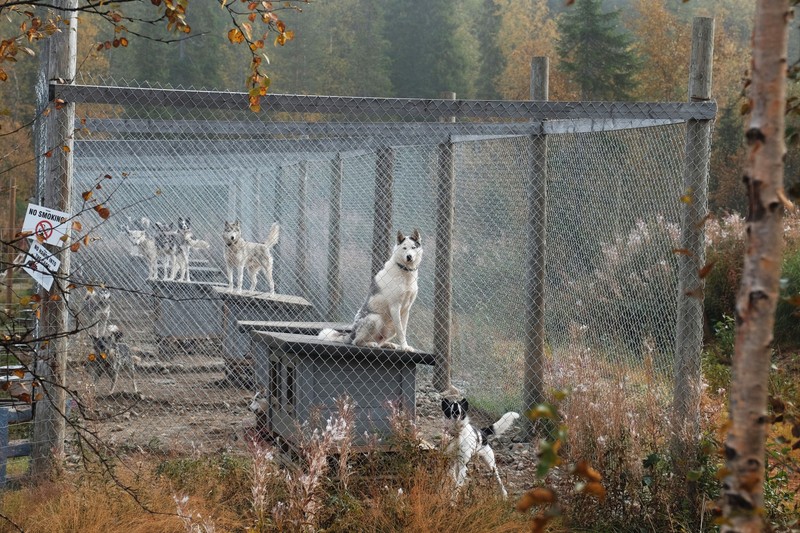 Фото сделанное пользователем Серёжа