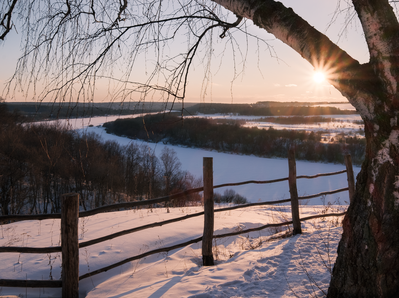 Фото сделанное пользователем Jammy