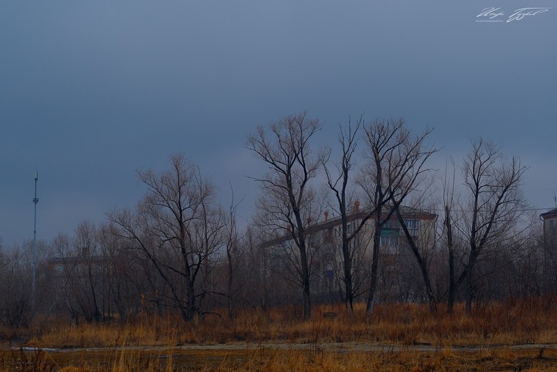 Фото сделанное пользователем zurbagan