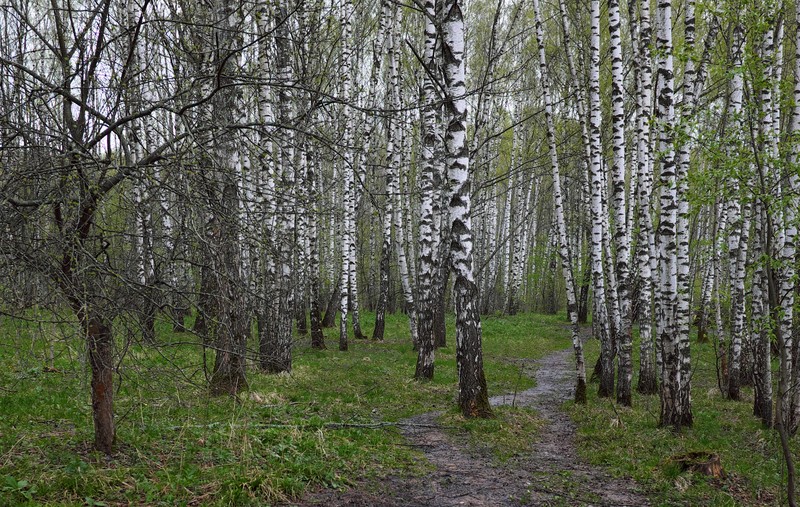 Фото сделанное пользователем Гарин