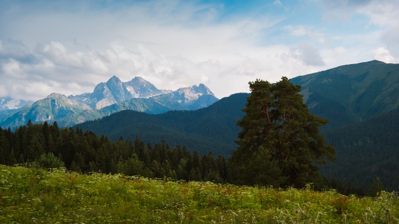 Фото сделанное пользователем Cognosco