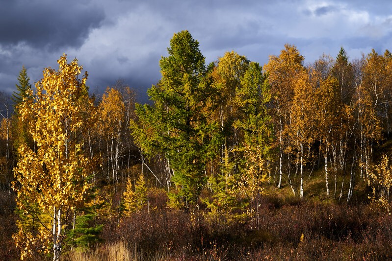 Фото сделанное пользователем Vl.B.