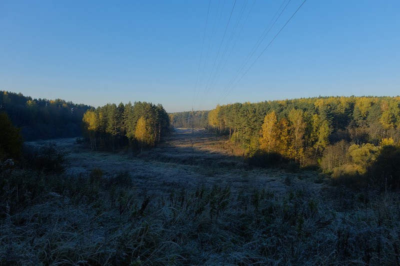 Фото сделанное пользователем фарш