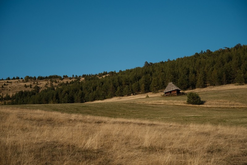 Фото сделанное пользователем Oldfleet