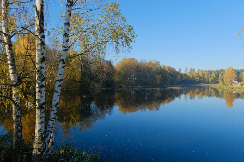 Фото сделанное пользователем фарш