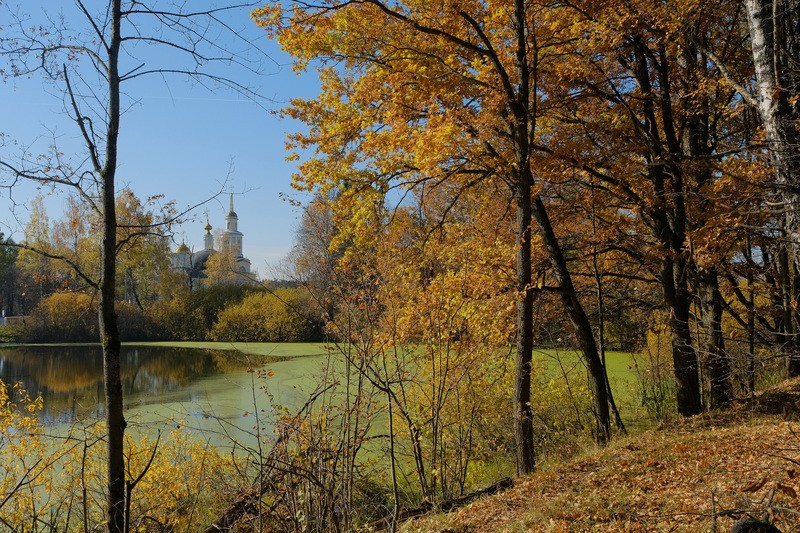 Фото сделанное пользователем фарш