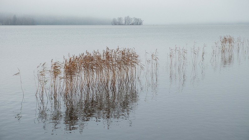 Фото сделанное пользователем Серёжа