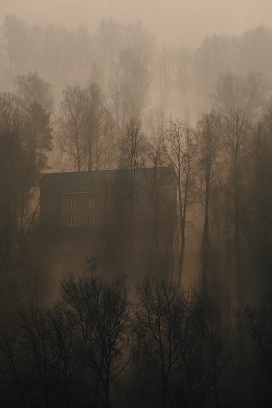 Фото сделанное пользователем Shishkin_Dmitry