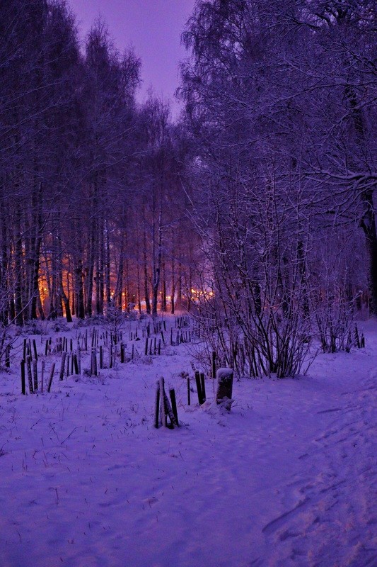 Фото сделанное пользователем Lex Semn