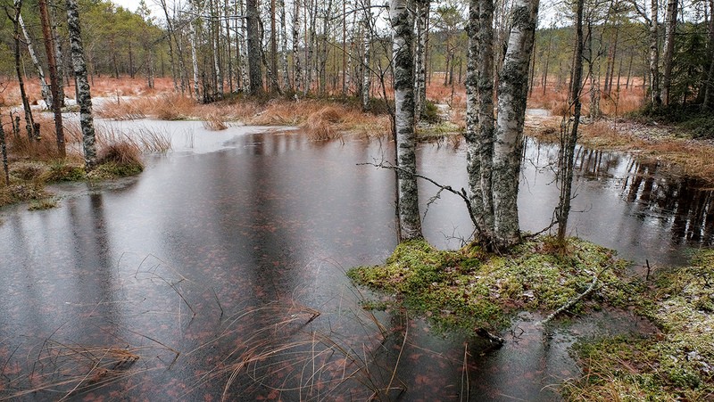 Фото сделанное пользователем Серёжа