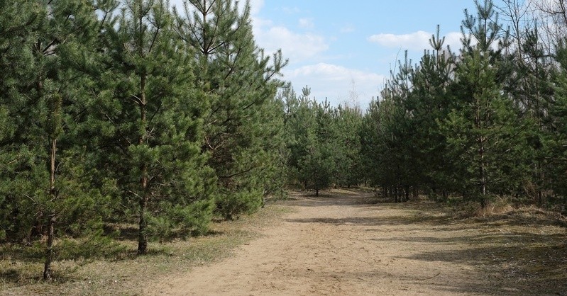 Фото сделанное пользователем Omoot