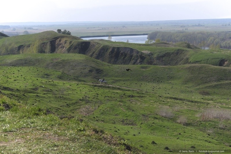 Фото сделанное пользователем Борис Флорин