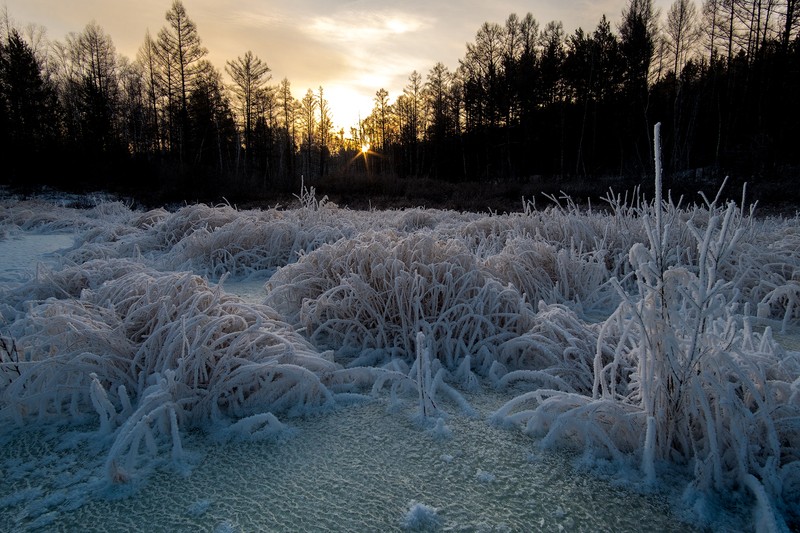 Фото сделанное пользователем Diver84