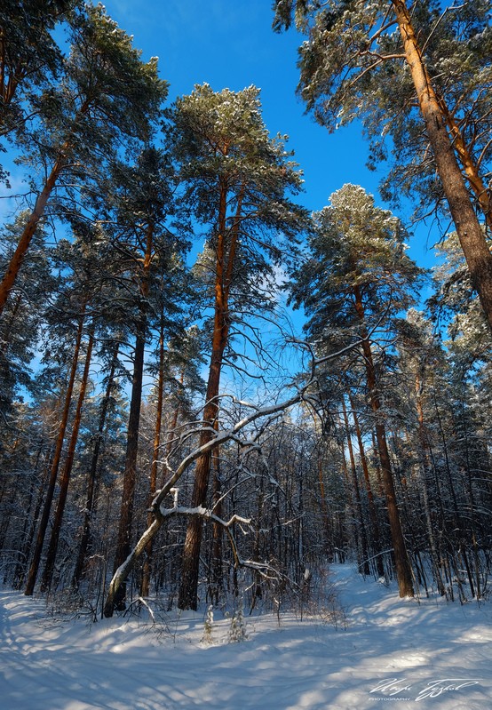 Фото сделанное пользователем zurbagan