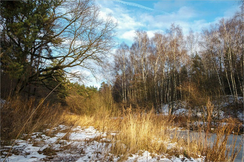 Фото сделанное пользователем Aleksor