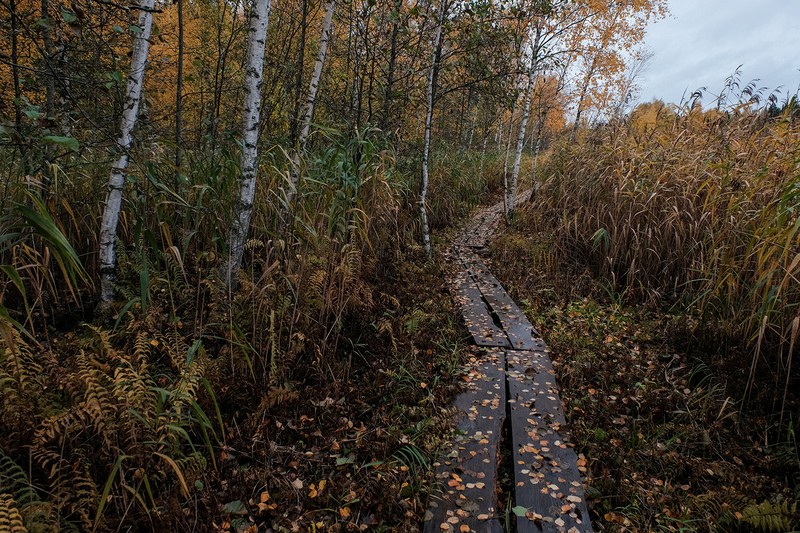 Фото сделанное пользователем Серёжа