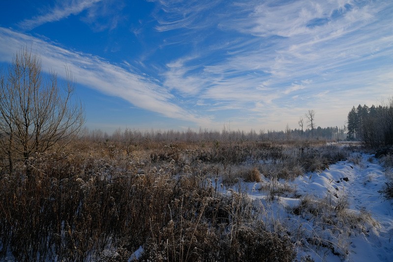 Фото сделанное пользователем фарш