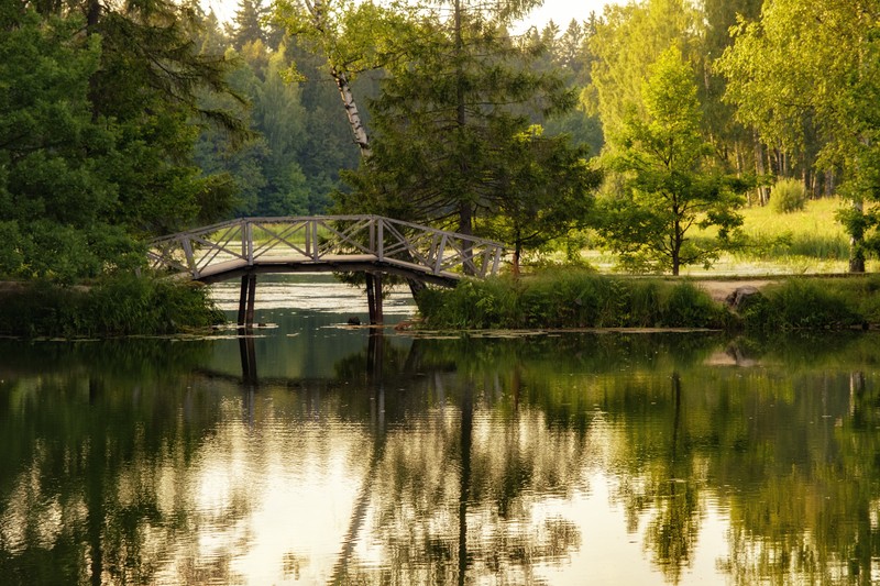 Фото сделанное пользователем koom