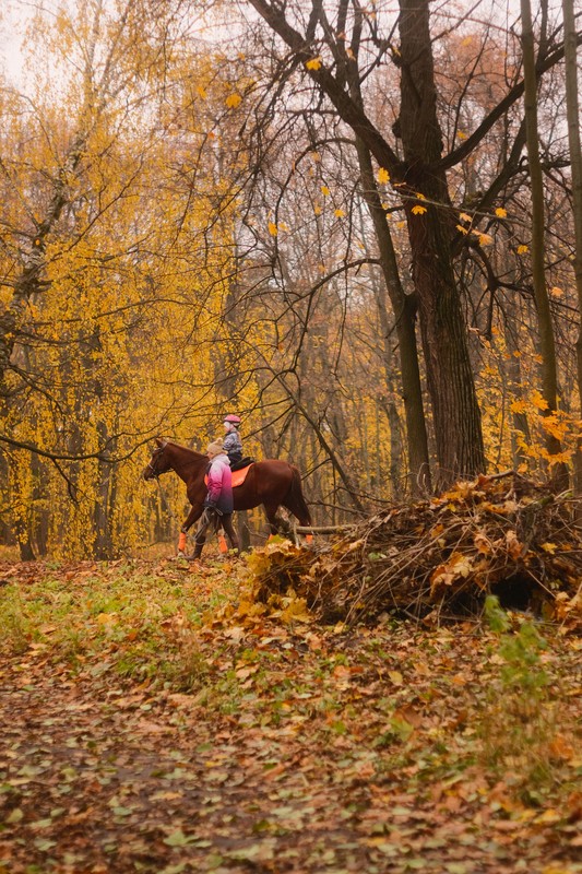 Фото сделанное пользователем Ebeldos