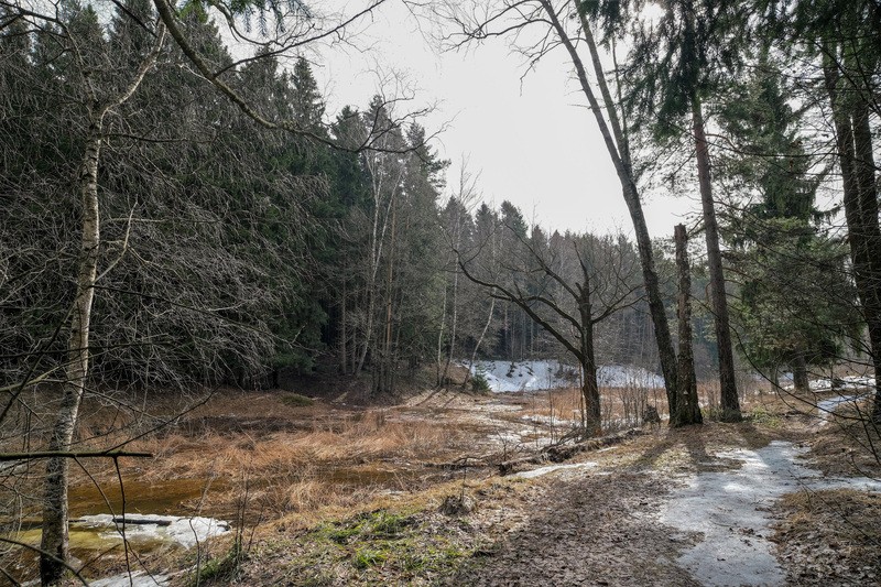 Фото сделанное пользователем фарш