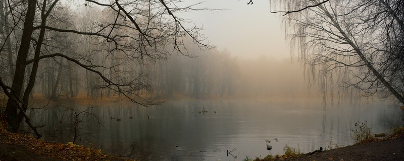 Фото сделанное пользователем Ebeldos