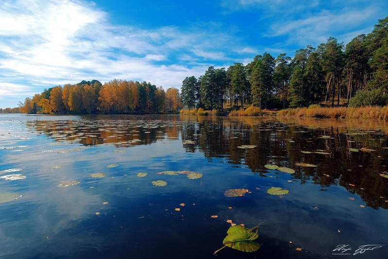 Фото сделанное пользователем zurbagan