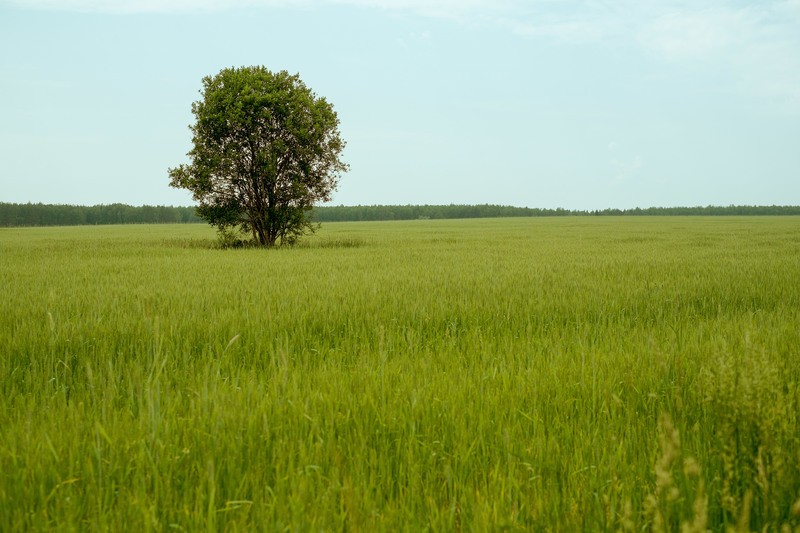 Фото сделанное пользователем obakiri