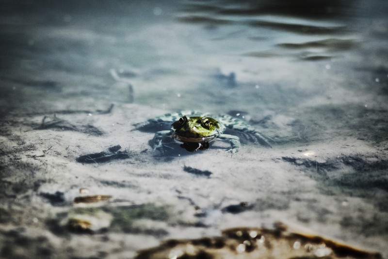 Фото сделанное пользователем Samehaun