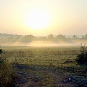 Фото сделанное пользователем kodrjan