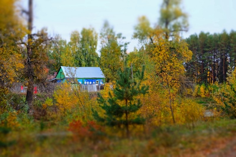 Фото сделанное пользователем Дiд МаZай