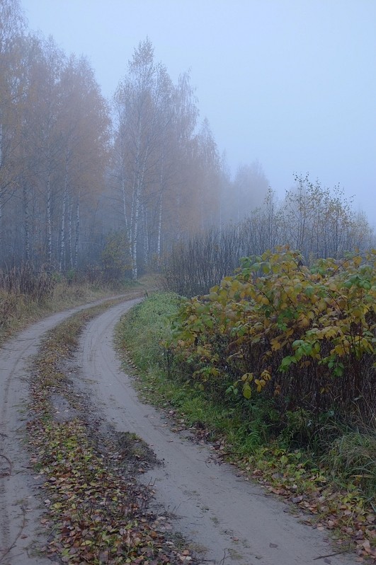 Фото сделанное пользователем Велобайкер