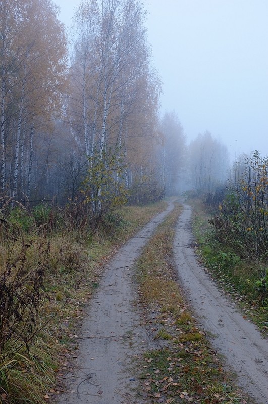 Фото сделанное пользователем Велобайкер